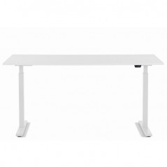 Desk Office White White 160x80